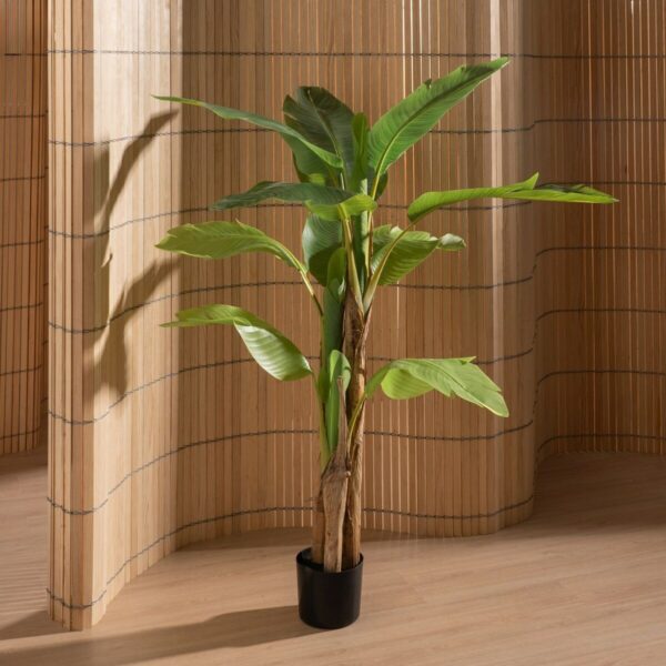 Decorative Plant Rubber 90 X 90 X 125 CM - Image 7