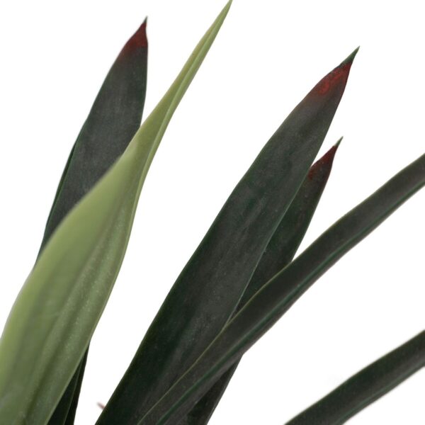 Decorative Plant Rubber polypropylene Yucca 40 x 40 x 125 cm - Image 3