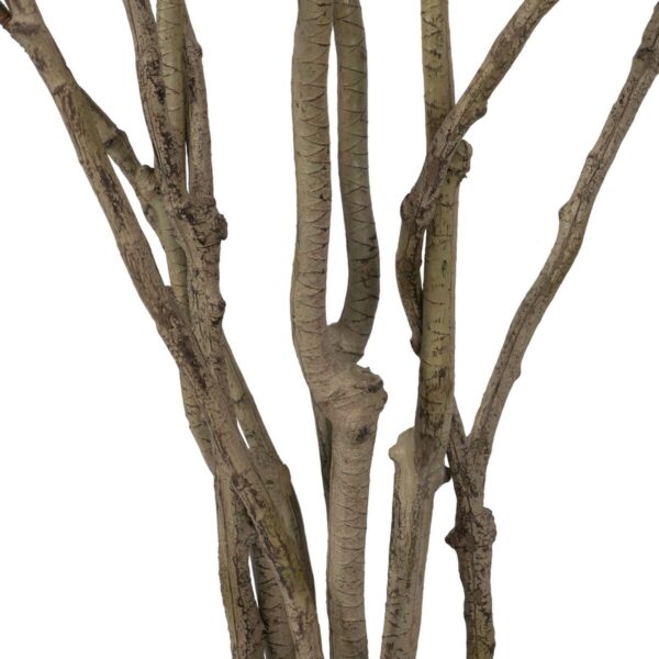 Decorative Plant Rubber polypropylene 60 x 60 x 150 cm - Image 5