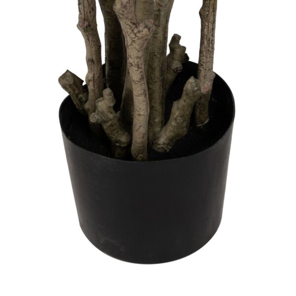 Decorative Plant Rubber polypropylene 60 x 60 x 150 cm - Image 6