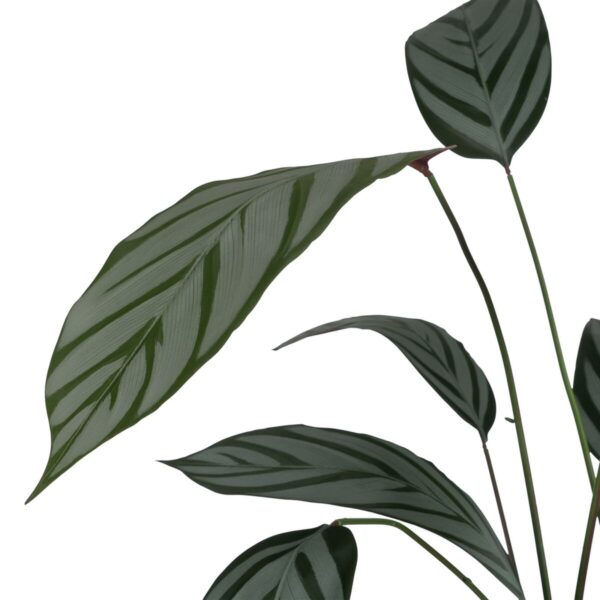 Decorative Plant PVC Cement Fabric 50 x 50 x 220 cm - Image 2