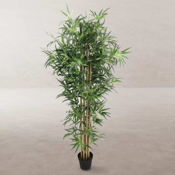Decorative Plant Cement Fabric Bamboo 180 cm - Image 2