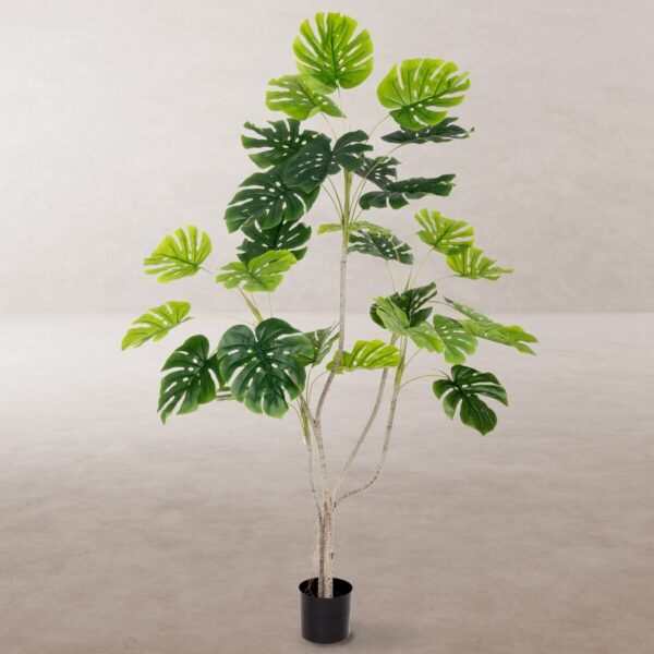 Decorative Plant Polyurethane Cement Monstera 180 cm - Image 2