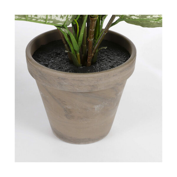 Decorative Plant Mica Decorations Dieffenbachia Dieffenbachia Green PVC (15,7 x 70 cm) - Image 3