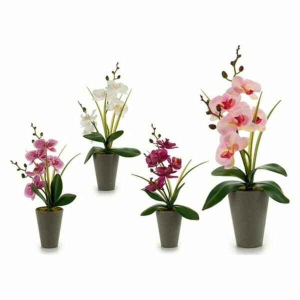 Decorative Plant Orchid Plastic 8 x 35 x 14 cm (12 Units) - Image 2
