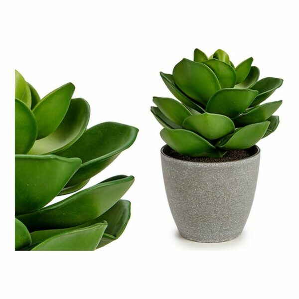 Decorative Plant Grey Green (16 x 21 x 16 cm) (6 Units) - Image 2