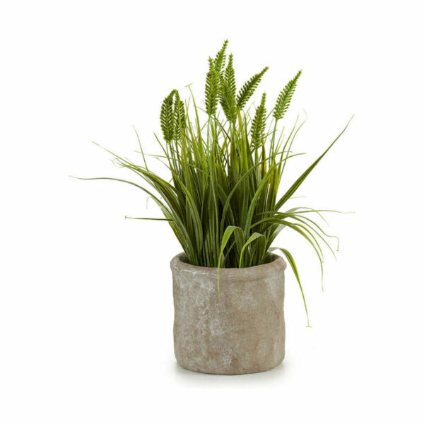 Decorative Plant Ear (of wheat) Plastic 12 x 30 x 12 cm (8 Units) - Image 3