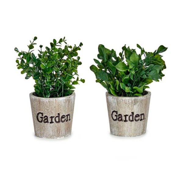 Decorative Plant Plastic 16 x 22 x 16 cm (12 Units) - Image 3