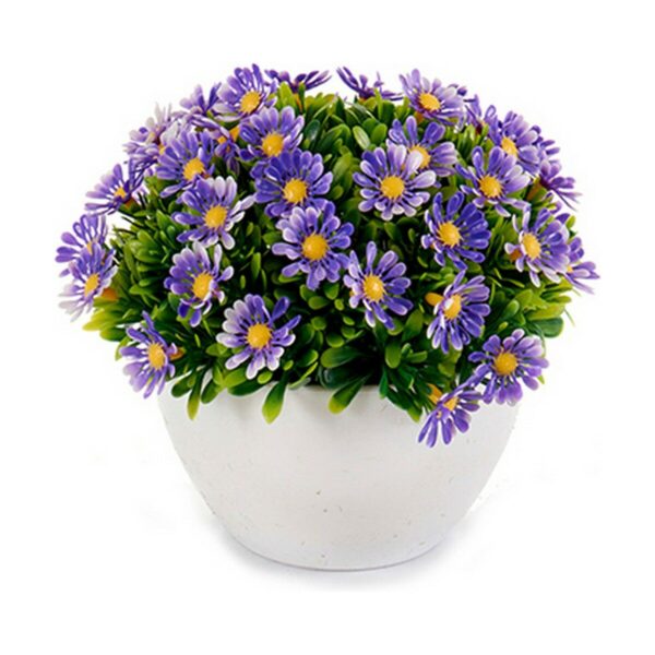 Decorative Plant Marguerite Plastic 14 x 13 x 14 cm (12 Units) - Image 3