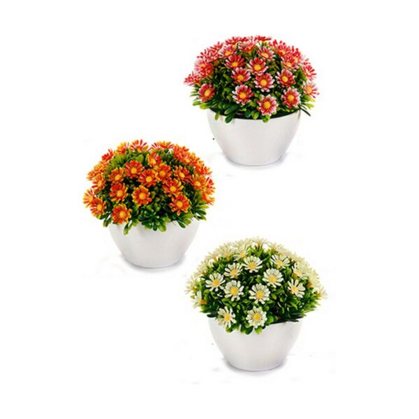 Decorative Plant Marguerite Plastic 14 x 13 x 14 cm (12 Units) - Image 2