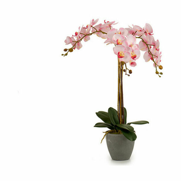Decorative Plant Orchid Plastic 29 x 78 x 35 cm (2 Units) - Image 2
