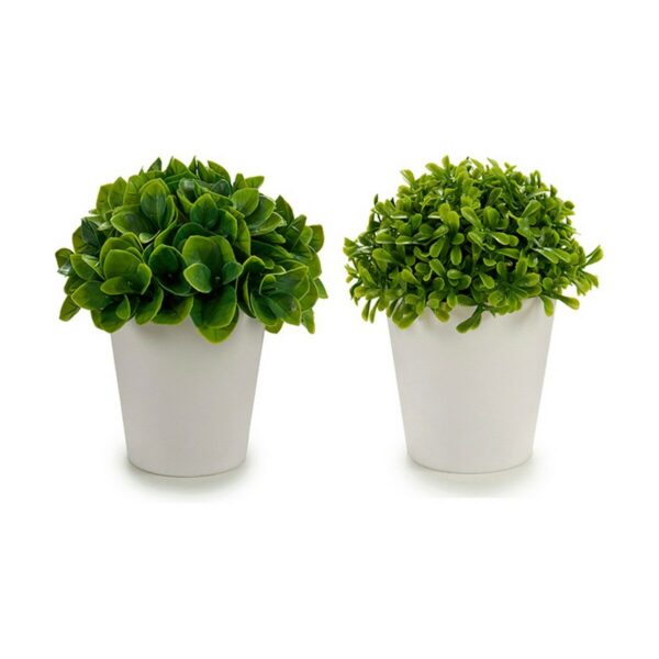 Decorative Plant Plastic 13 x 17 x 13 cm (12 Units) - Image 2