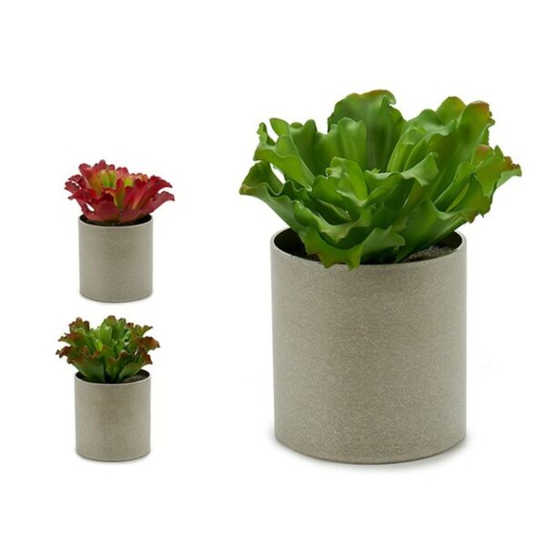 Decorative Plant 20 x 25 x 20 cm (6 Units) - Image 2