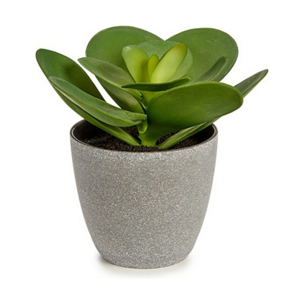 Decorative Plant 18 x 18,5 x 18 cm Grey Green Plastic (6 Units) - Image 2