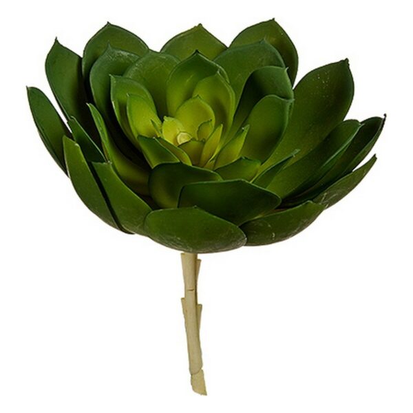 Decorative Plant 22 x 19 x 19 cm Green Plastic (6 Units) - Image 2