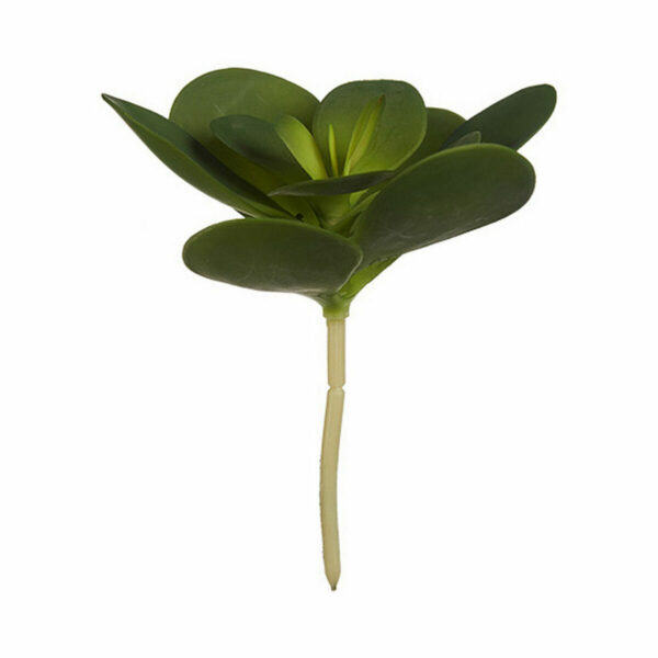 Decorative Plant Sheets Circular Plastic 18 x 23 x 18 cm (6 Units) - Image 2