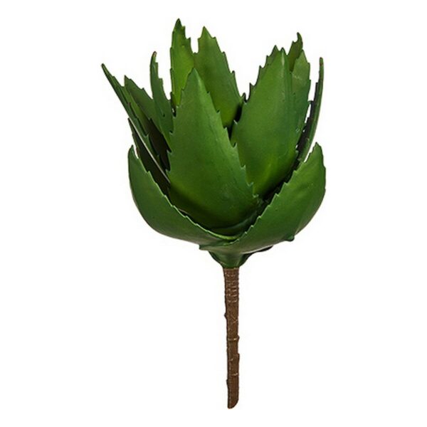 Decorative Plant Aloe Vera 13 x 24,5 x 14 cm Green Plastic (6 Units) - Image 2