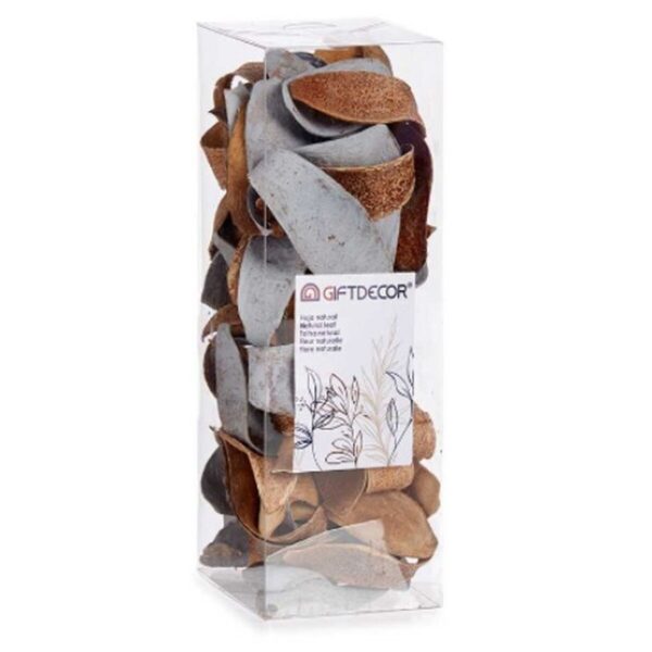 Decorative Flowers Natural Brown 9 x 27 x 9 cm (12 Units) - Image 2