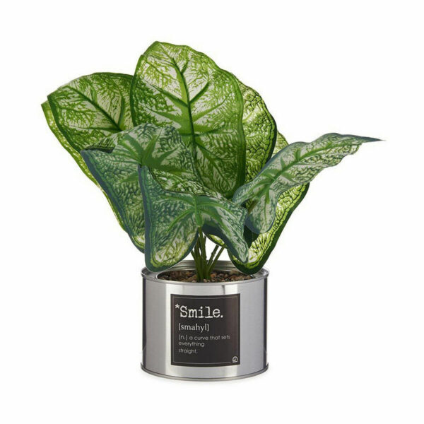 Decorative Plant Caladium Metal Plastic 26 x 26 x 26 cm (6 Units) - Image 2