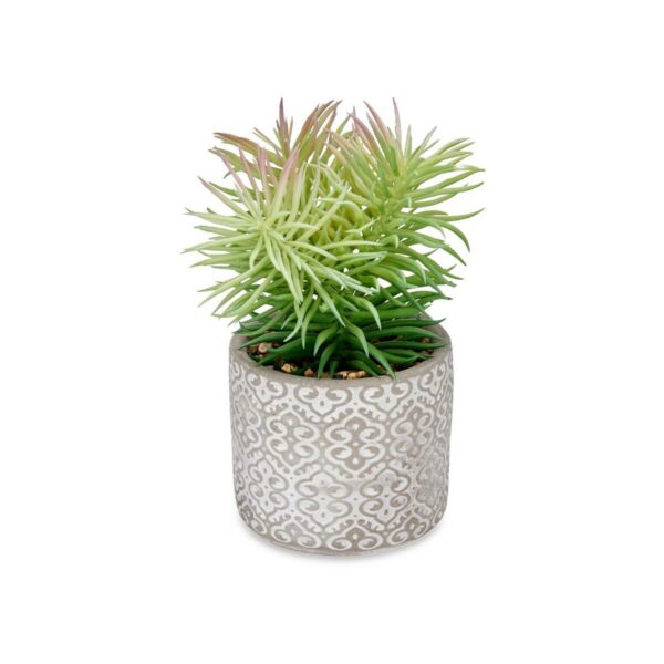 Decorative Plant Succulent Wood Plastic 12 x 22 x 12 cm (8 Units) - Image 2