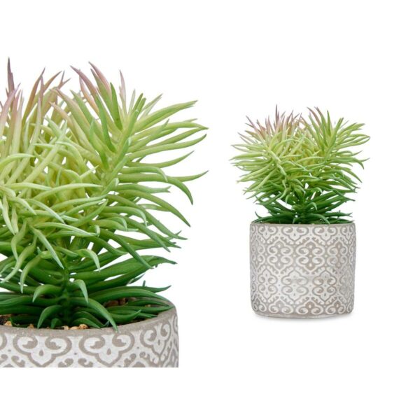 Decorative Plant Succulent Wood Plastic 12 x 22 x 12 cm (8 Units) - Image 3