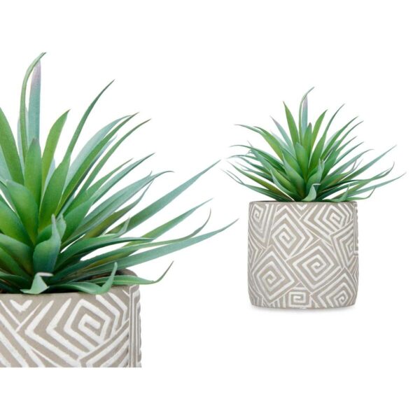 Decorative Plant Succulent Wood Plastic 17 x 21 x 17 cm (8 Units) - Image 3