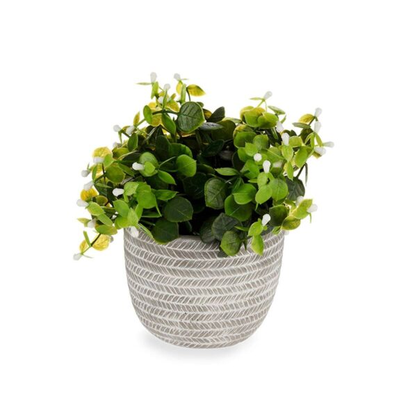 Decorative Plant Flowers Plastic 20 x 20,5 x 20 cm (8 Units) - Image 2