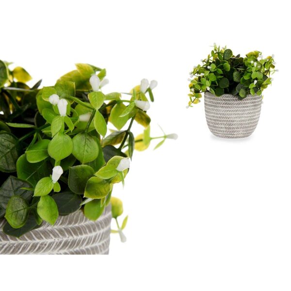 Decorative Plant Flowers Plastic 20 x 20,5 x 20 cm (8 Units) - Image 3