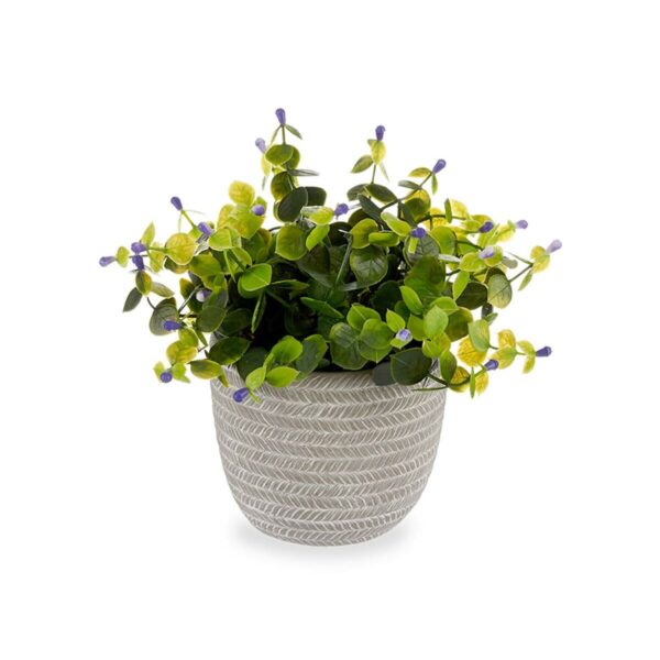 Decorative Plant Flowers Plastic 21 x 20,6 x 21 cm (8 Units) - Image 2
