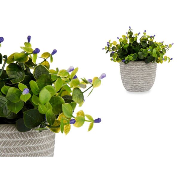 Decorative Plant Flowers Plastic 21 x 20,6 x 21 cm (8 Units) - Image 3