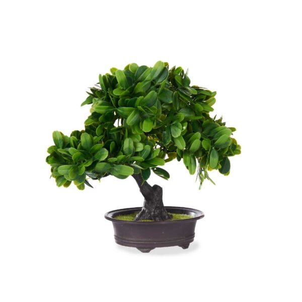 Decorative Plant Bonsai Plastic 27 x 28 x 14 cm (8 Units) - Image 2
