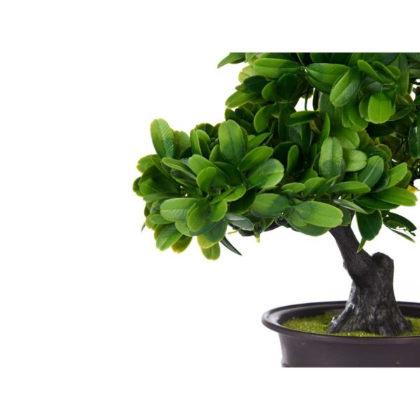 Decorative Plant Bonsai Plastic 27 x 28 x 14 cm (8 Units) - Image 3