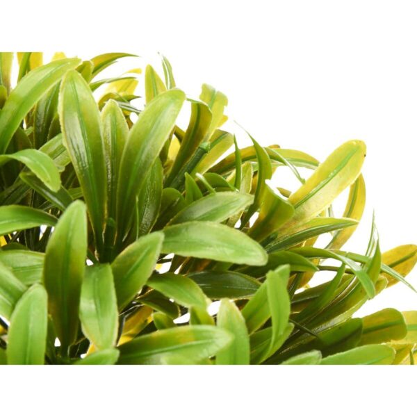 Decorative Plant Plastic 17 x 17 cm (6 Units) - Image 3