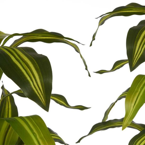 Decorative Plant Plastic Wide leaf 70 x 120 x 70 cm - Image 2