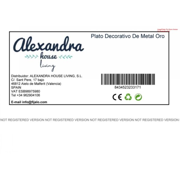 Decorative Plate Alexandra House Living Gold nickel 39 x 2 x 39 cm - Image 2