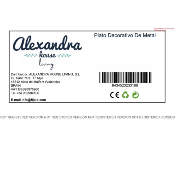 Decorative Plate Alexandra House Living Silver nickel 61 x 2 x 61 cm - Image 2