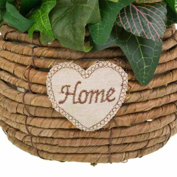 Decorative Flowers Alexandra House Living Multicolour 25 x 36 x 31 cm - Image 4