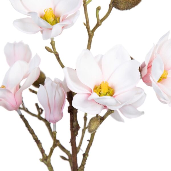 Decorative Plant Polyester Polyethylene Iron 25 x 25 x 49 cm Magnolia - Image 2