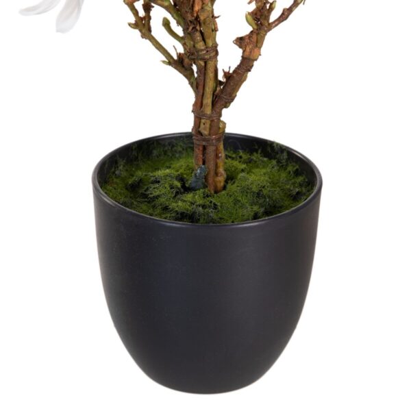 Decorative Plant Polyester Polyethylene Iron 30 x 30 x 60 cm Magnolia - Image 3