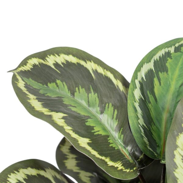 Decorative Plant 37 x 37 x 41 cm Green PVC - Image 2