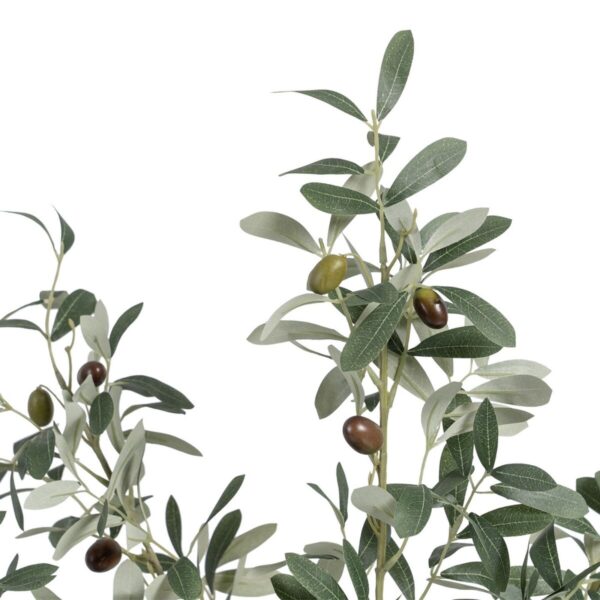 Decorative Plant Polyester Polyethylene Olive tree 56 x 48 x 78 cm - Image 2