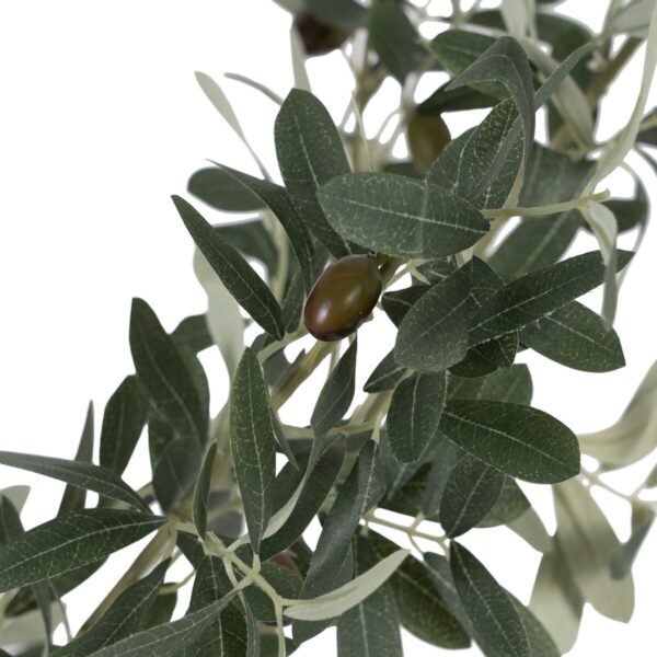Decorative Plant Polyester Polyethylene Olive tree 55 x 60 x 112 cm - Image 3