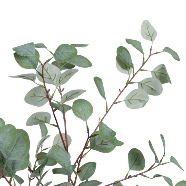 Decorative Plant Polyethylene Eucalyptus 80 x 82 x 180 cm - Image 2