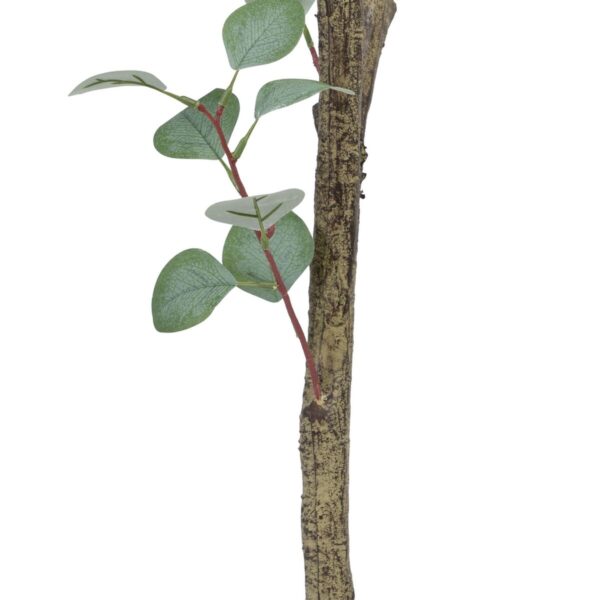 Decorative Plant Polyethylene Eucalyptus 80 x 82 x 180 cm - Image 4