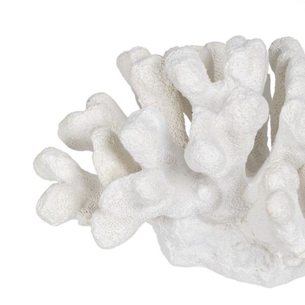 Decorative Figure White Coral 19 x 14 x 11 cm - Image 2