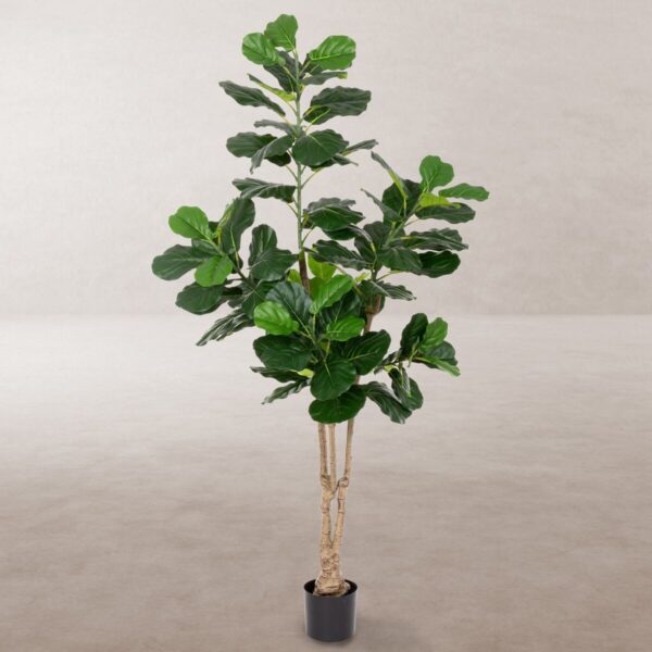 Decorative Plant Polyurethane Cement Fig Tree 175 cm - Image 2