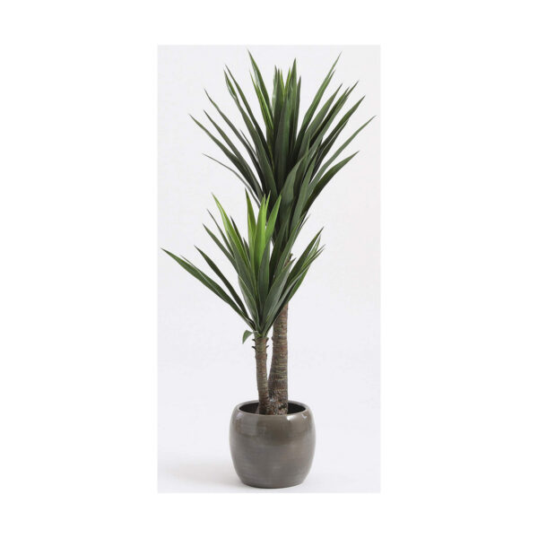 Decorative Plant Mica Decorations Yucca (120 x 60 cm) - Image 5