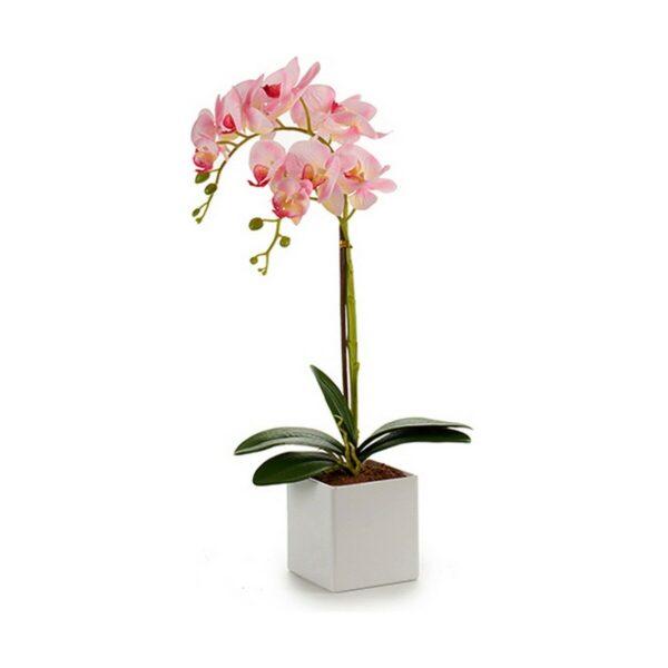 Decorative Plant Orchid 18 x 47 x 14 cm Plastic (6 Units) - Image 2