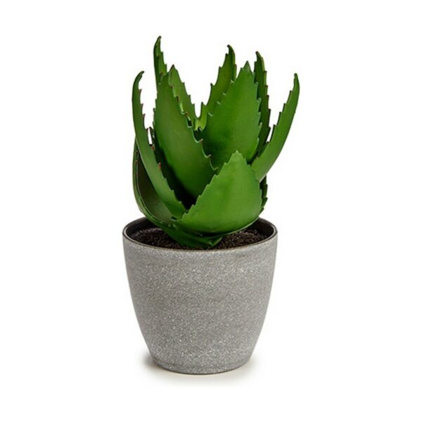 Decorative Plant Aloe Vera 15 x 23,5 x 15 cm Grey Green Plastic (6 Units) - Image 2
