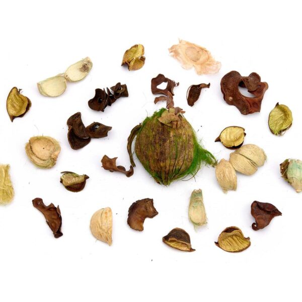 Decorative Flowers Jasmine 200 g Green Natural (12 Units) - Image 4